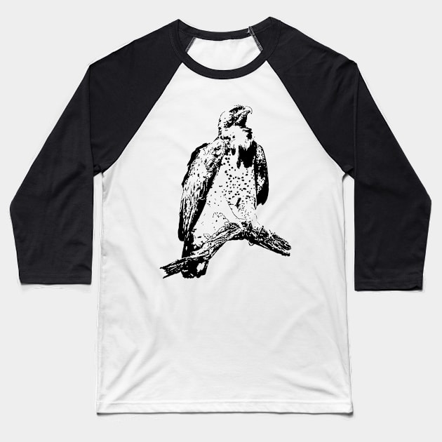 Majestic Martial Eagle | African Wildlife Baseball T-Shirt by scotch